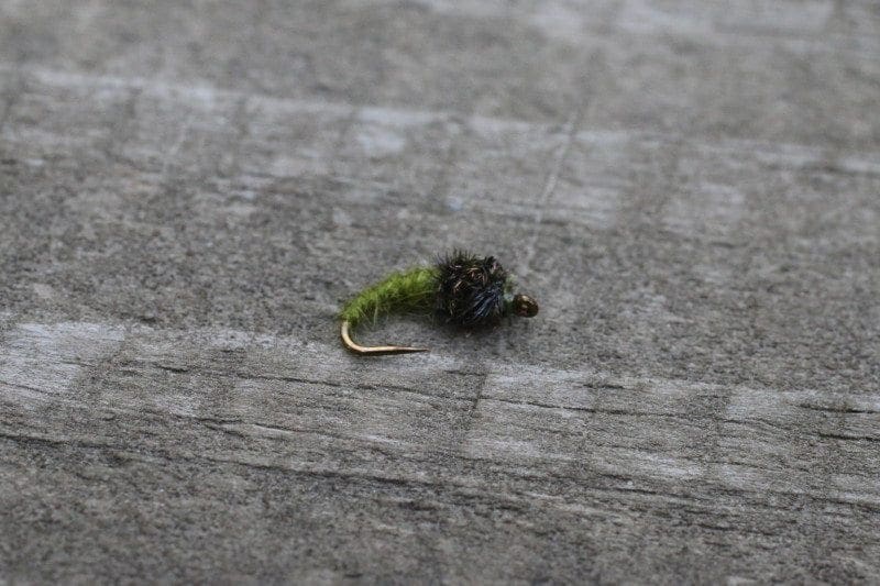 Caddis Larva Olive Wooly Bugger Fly Co.