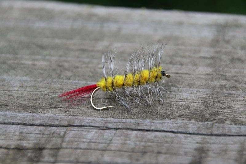 Wooly Worm Yellow Wooly Bugger Fly Co.