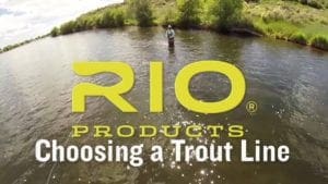 How to choose a Trout Line.