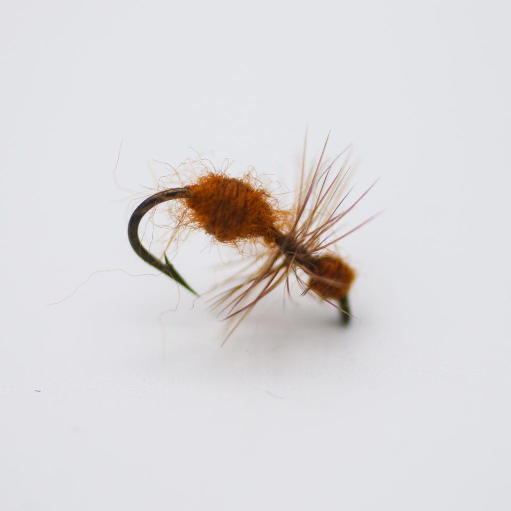 Ant Cinnamon Wooly Bugger Fly Co.