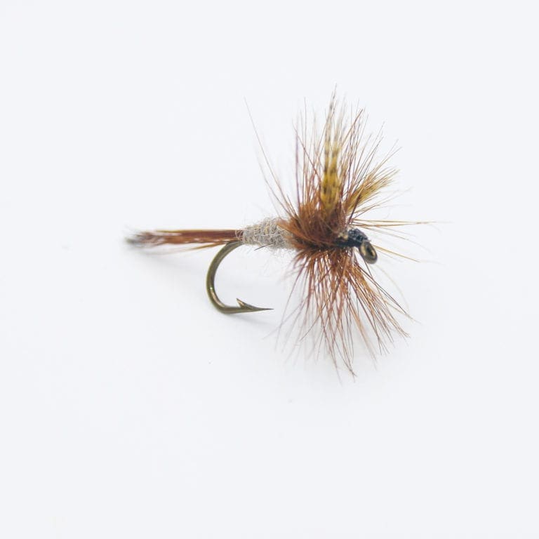 bennett blue crackleback