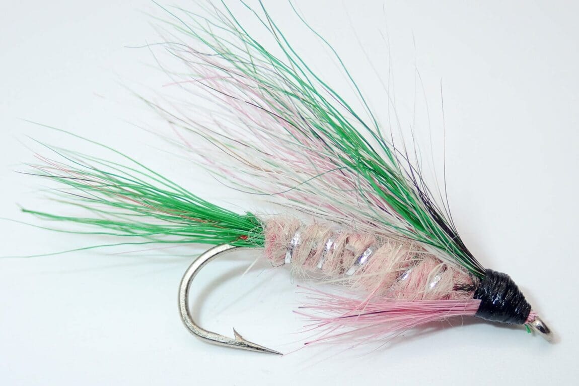 Little Rainbow Trout - Wooly Bugger Fly Co.