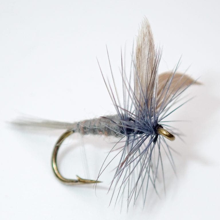 bennett blue crackleback