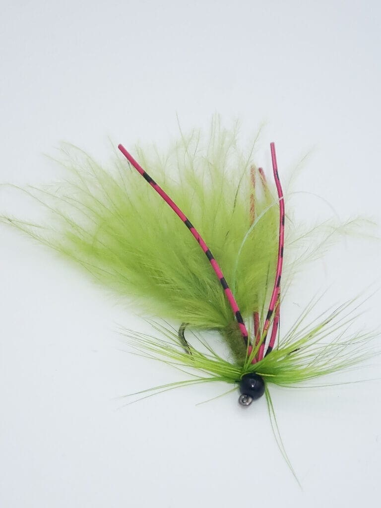 ace and jig olive shift