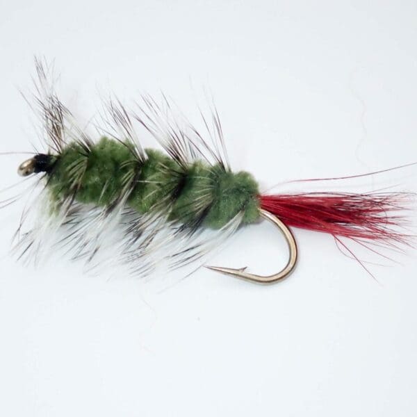 Wooly Worm - Olive
