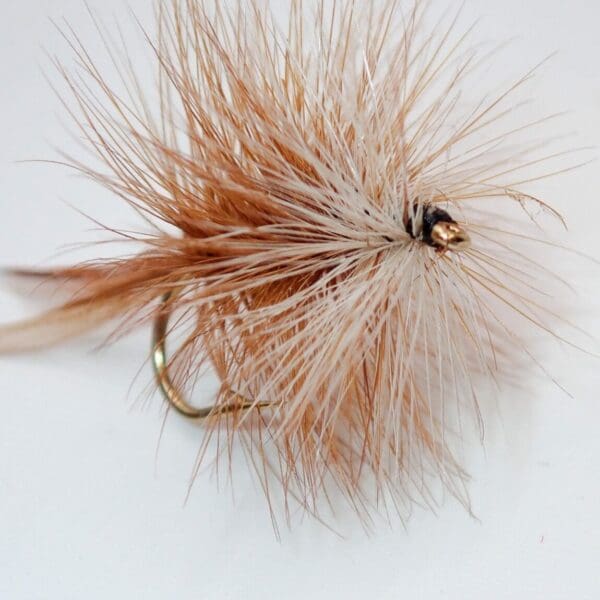 Bivisible - Brown - Image 3