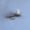 Adams parachute dry fly
