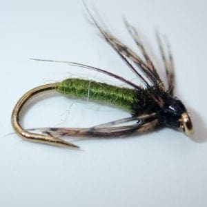 Olive soft hackle no beadhead
