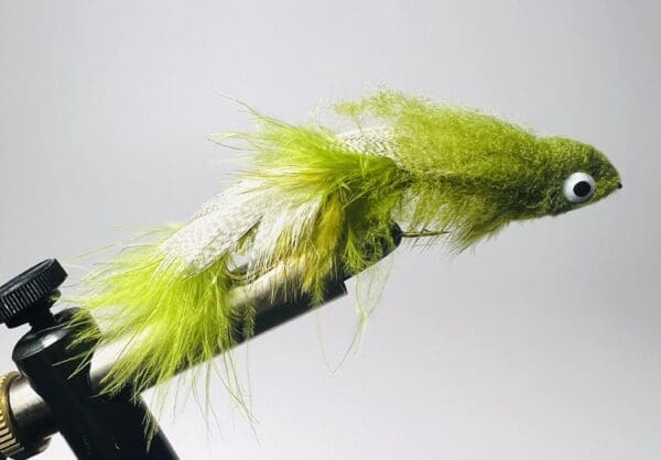 Olive boogyman bass streamer fly